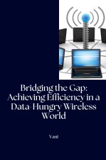 Bridging the Gap: Achieving Efficiency in a Data-Hungry Wireless World