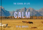 CALM IN 40 IMAGES