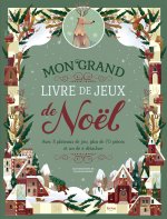 MON GRAND LIVRE DE JEUX DE NOËL