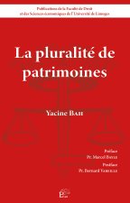 LA PLURALITE DE PATRIMOINES