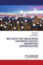 BIG DATA FOR UNLOCKING UNTAPPED DIGITAL MARKETING OPPORTUNITIES