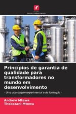 Princípios de garantia de qualidade para transformadores no mundo em desenvolvimento