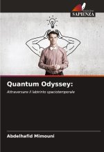 Quantum Odyssey: