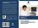 Transvaginale Ultraschalldiagnose der Adenomyose