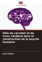 Rôle du cervelet et du tronc cérébral dans la construction de la psyché humaine