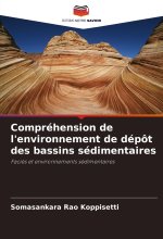 Compréhension de l'environnement de dépôt des bassins sédimentaires
