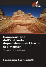 Comprensione dell'ambiente deposizionale dei bacini sedimentari
