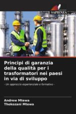 Principi di garanzia della qualità per i trasformatori nei paesi in via di sviluppo