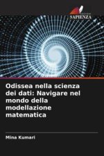 Odissea nella scienza dei dati: Navigare nel mondo della modellazione matematica