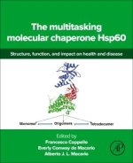 The Multitasking Molecular Chaperone HSP60