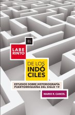 El laberinto de los indóciles. Estudios sobre historiografía puertorrique?a del siglo 19