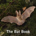 The Bat Book