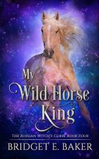 My Wild Horse King