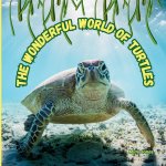 The Wonderful World of Turtles