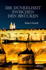 Die Dunkelheit zwischen den Brücken