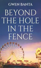 Beyond the Hole in the Fence