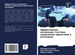 Jeffektiwnye nachinaniq: Sistema uprawleniq proektami w kolledzhe
