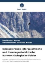 Interagierende intergalaktische und hirnmagnetotaktische Nanoarchäologische Felder