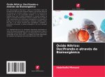 Óxido Nítrico: Decifrando-o através da Bioinorgânica