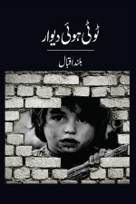 ٹوٹی ہوئی دیوار