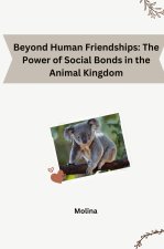 Beyond Human Friendships: The Power of Social Bonds in the Animal Kingdom