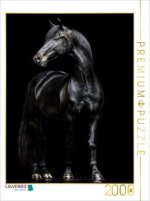 CALVENDO Puzzle Schwarze Eleganz - Pferde Rappe | 2000 Teile Lege-Größe 90x67cm Foto-Puzzle für glückliche Stunden