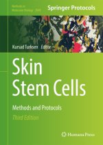 Skin Stem Cells