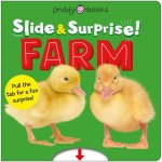 SLIDE & SURPRISE FARM
