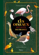 Les espèces d'oisieaux menacés
