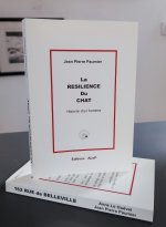 La résilience du chat