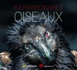 Extraordinaires oiseaux