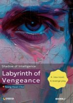 Labyrinth of Vengeance:  Shadow of Intelligence