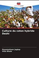 Culture du coton hybride Deshi