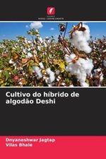 Cultivo do híbrido de algodão Deshi