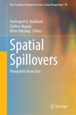 Spatial Spillovers