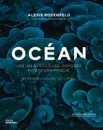 Océan, paroles de femmes
