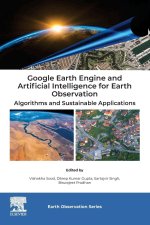 Google Earth Engine and Artificial Intelligence for Earth Observation