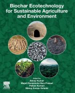 Biochar Ecotechnology for Sustainable Agriculture and Environment