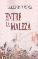 LAS ROCAS DEL PODER:HAMORIAN