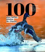 Les 100 plus belles photos de chasse. Bécasse, sanglier, gibier d'eau, chien d'arrêt et chien couran