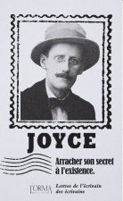 Arracher son secret à l'existence - Lettres de l’écrivain de