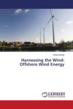 Harnessing the Wind: Offshore Wind Energy