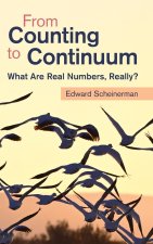 From Counting to Continuum