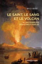 Face au Vésuve - Se protéger des désastres à Naples, hier et aujourd'hui