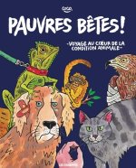 Pauvres bêtes !