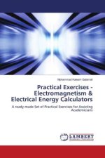 Practical Exercises - Electromagnetism & Electrical Energy Calculators
