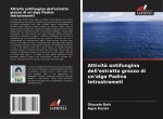 Attività antifungina dell'estratto grezzo di un'alga Padina tetrastrometi