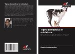 Tigre domestica in miniatura
