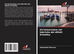 Un'immersione nel labirinto dei difetti Schottky