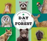ANIMAL ADVENTURES DAY IN THE FOREST
